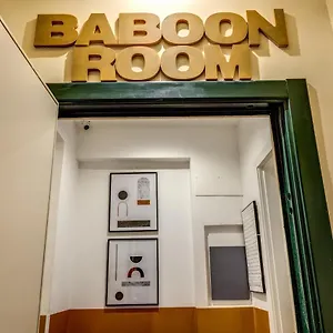 Baboon Gasthuis Rome